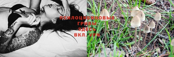 MDMA Premium VHQ Бородино
